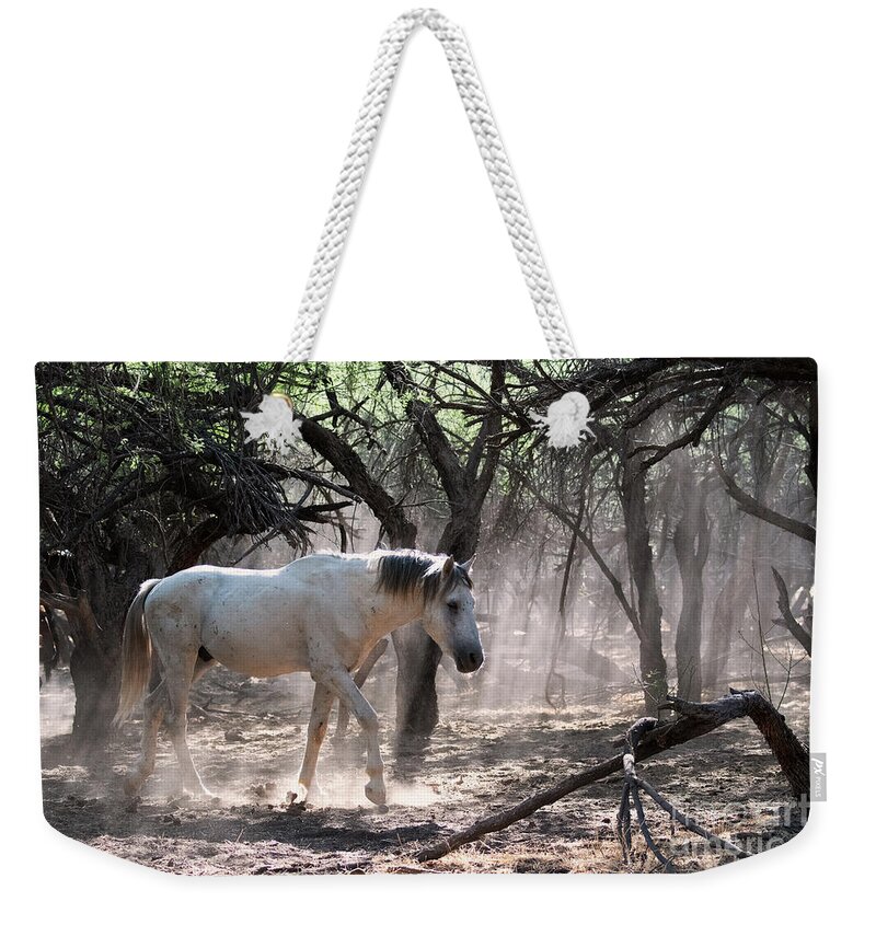 Enchanted Forest Weekender Tote Bag featuring the photograph Enchanted Forest by Shannon Hastings
