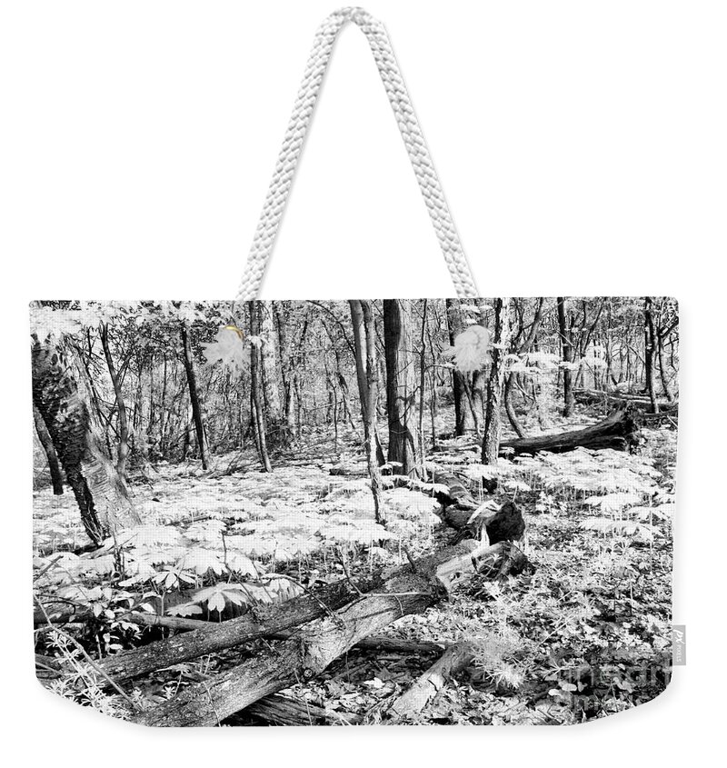 Spring Weekender Tote Bag featuring the photograph Enchanted Forest by Steve Ember