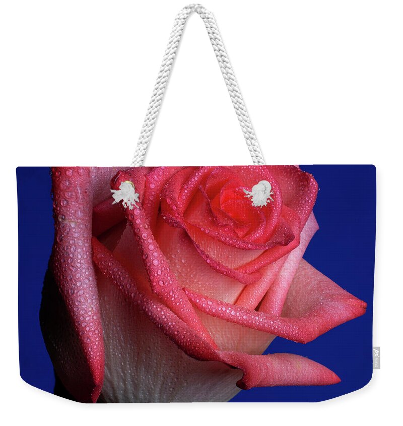 Rose Weekender Tote Bag featuring the photograph Enhancer by Doug Norkum
