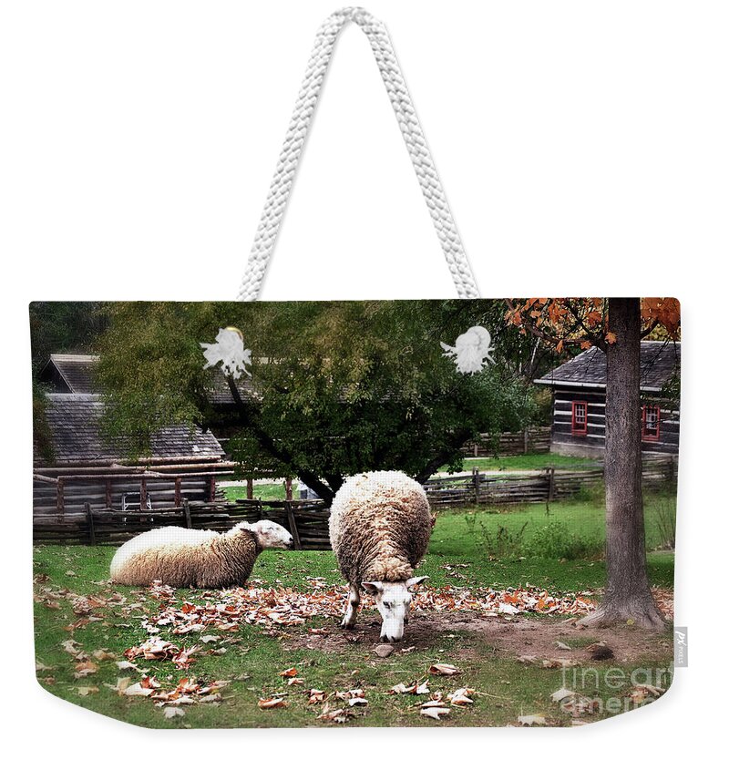 Sheep Weekender Tote Bag featuring the photograph Enjoying the Autumn Leaves by Elaine Manley