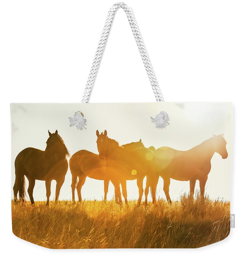 Horses Weekender Tote Bag featuring the photograph Equine Glow by Todd Klassy