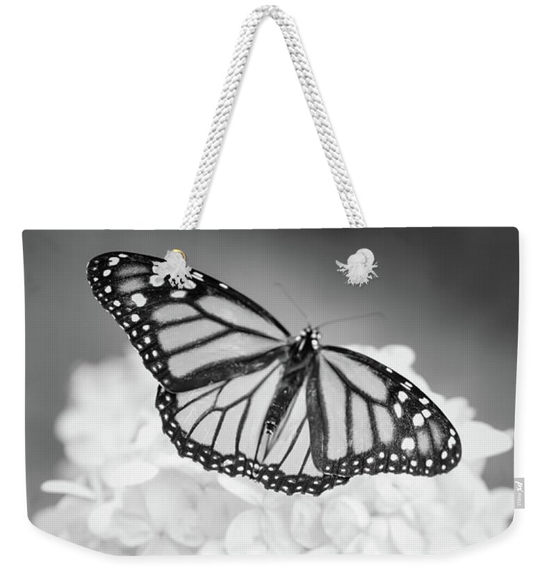Butterfly Weekender Tote Bag featuring the photograph Essence by Michelle Wermuth