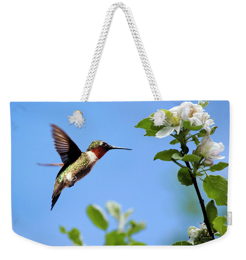 Hummingbird Weekender Tote Bag featuring the photograph Eternal Hummingbird by Christina Rollo