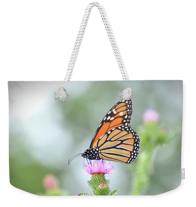 Monarch Weekender Tote Bag featuring the photograph Ethereal Beauty - Monarch Butterfly by Kerri Farley