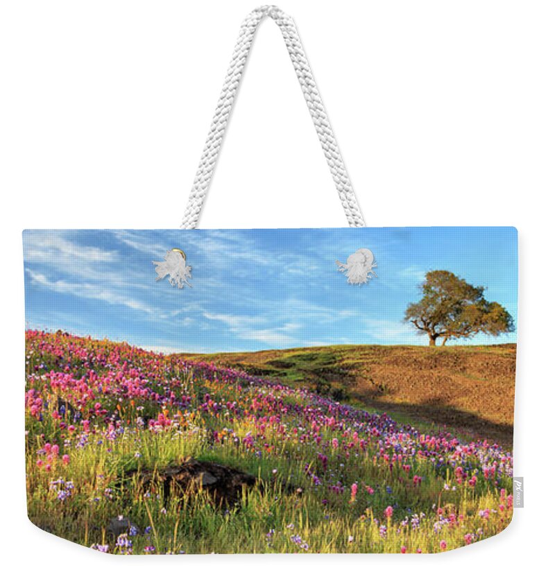 Spring Weekender Tote Bag featuring the photograph Evening Light Panorama At North Table Mountain by James Eddy