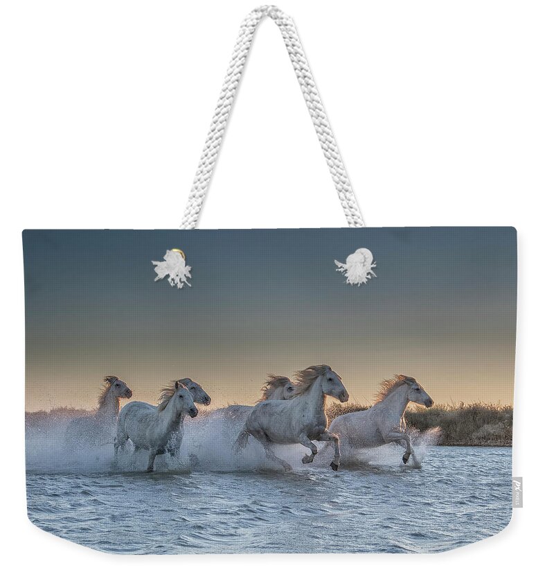 Equine Weekender Tote Bag featuring the photograph Evening Run by Wade Aiken