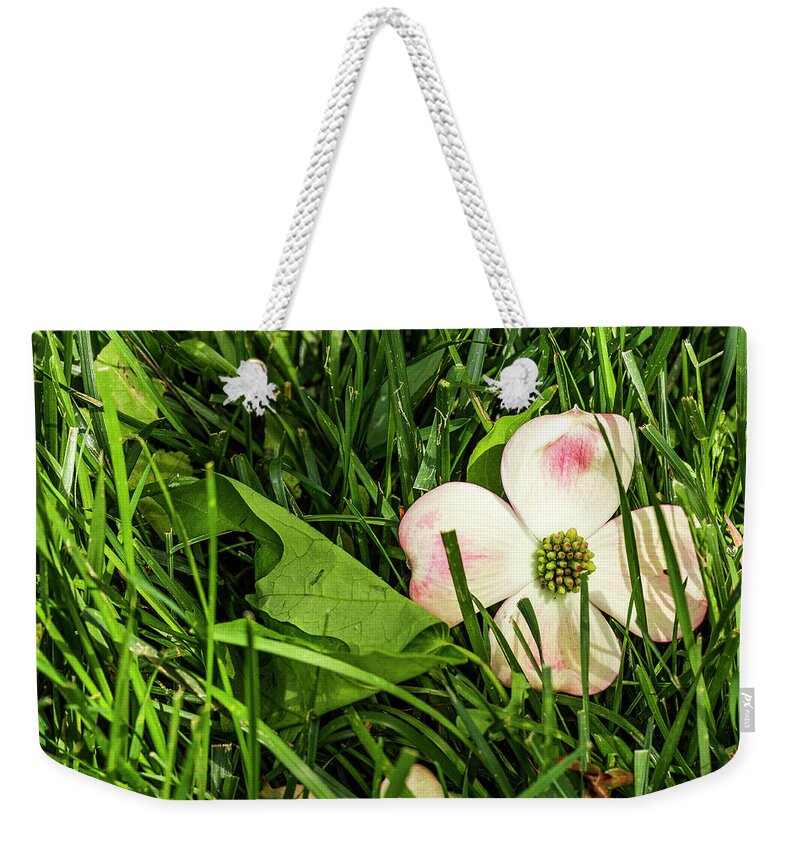 America Weekender Tote Bag featuring the photograph Every Dogwood Has Its Day by ProPeak Photography