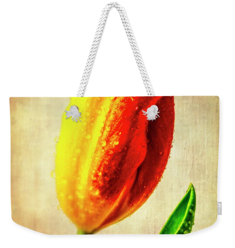 Tulip Weekender Tote Bag featuring the photograph Exotic Half Yellow Half Red Tulip by Garry Gay