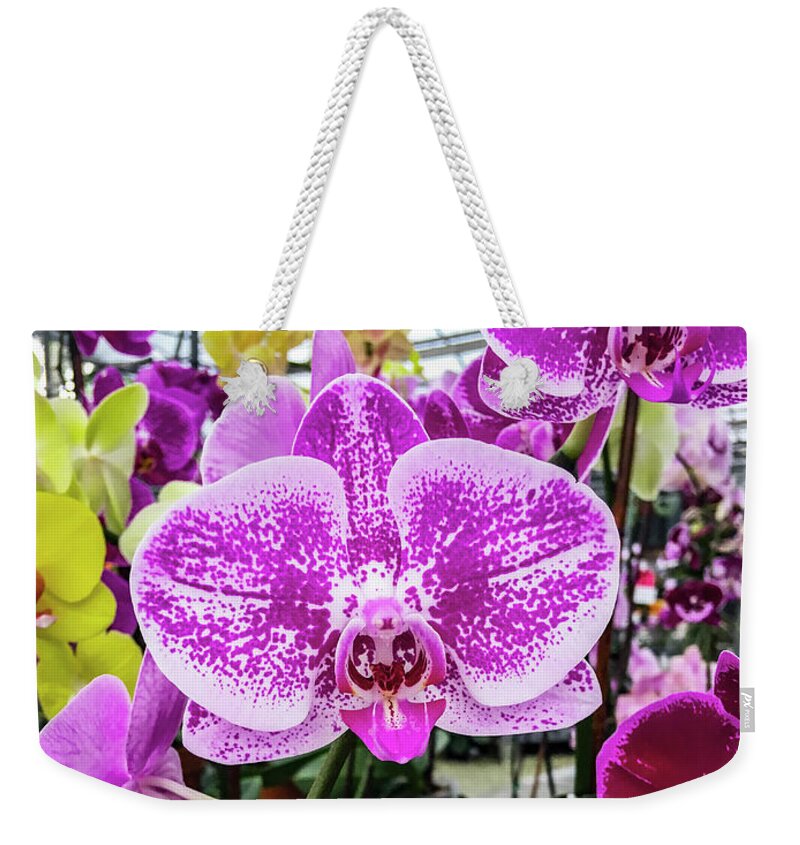 Orchid Flower Weekender Tote Bag featuring the photograph Beautiful Exotic Orchid Artwork 02.jpg by Carlos Diaz