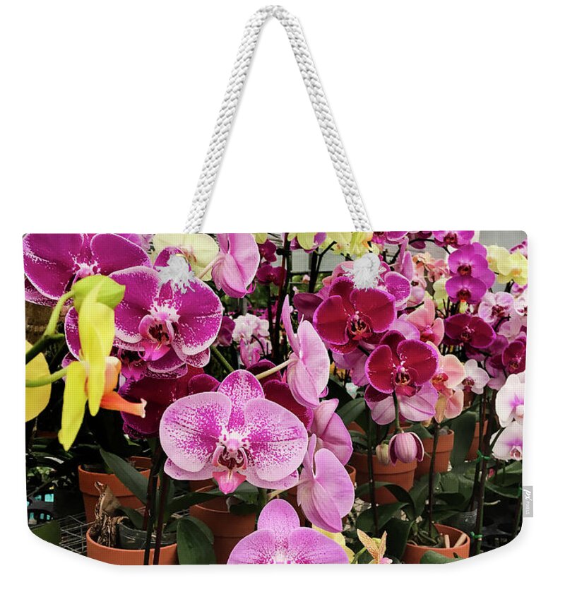Orchid Flower Weekender Tote Bag featuring the photograph Beautiful Exotic Orchid Artwork 06 by Carlos Diaz