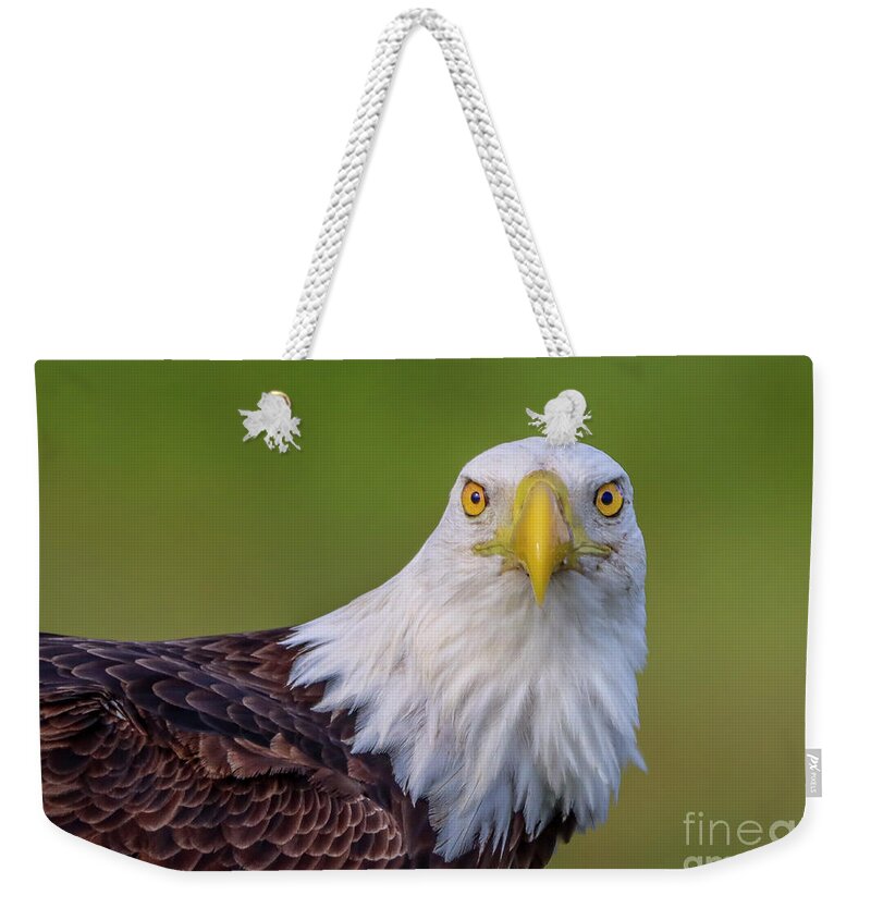 Eagle.bald Eagle Weekender Tote Bag featuring the photograph Face to Face Eagle by Tom Claud