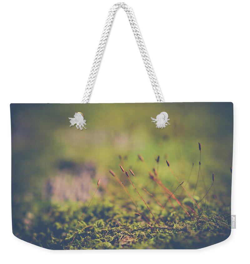 Macro Weekender Tote Bag featuring the photograph Fairy Hunt by Michelle Wermuth