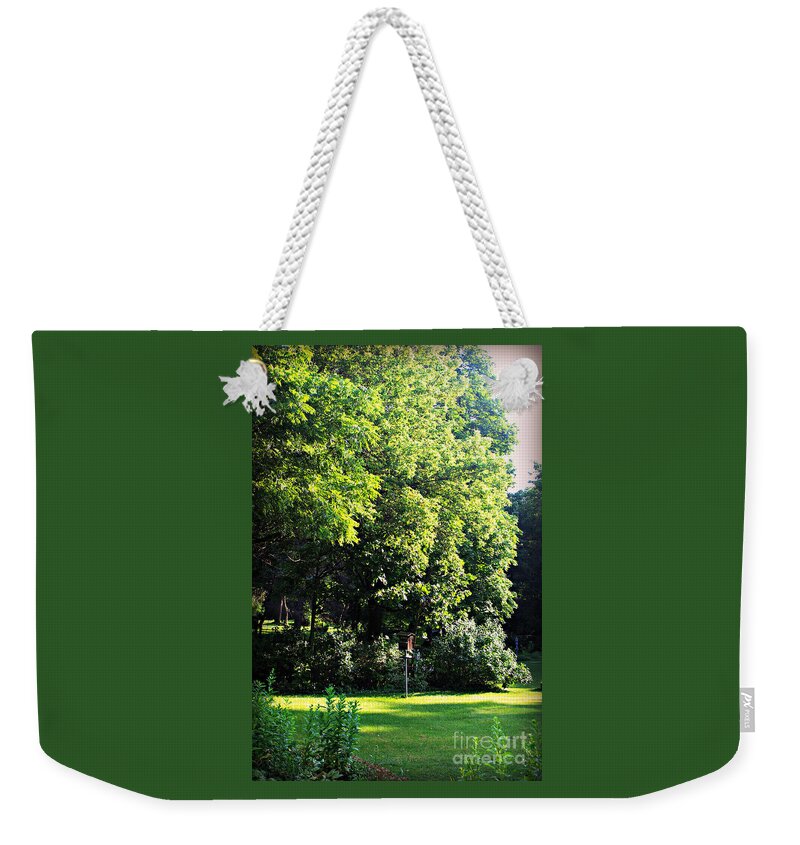 Nature Weekender Tote Bag featuring the photograph Faithful Birdhouse by Frank J Casella