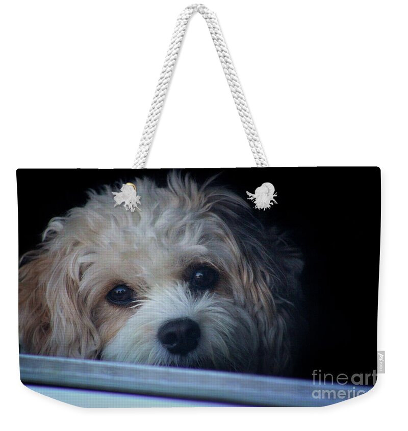 Puppy Weekender Tote Bag featuring the photograph Faithfully Waiting by Karen Adams