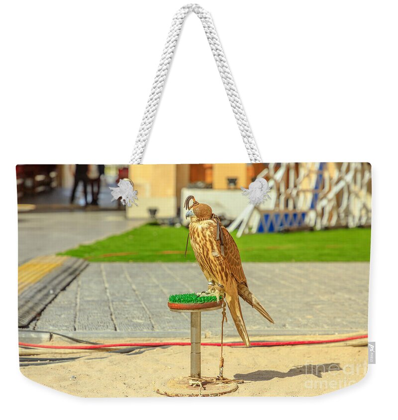 Falcon Weekender Tote Bag featuring the photograph Falcon at Falcon Souk by Benny Marty