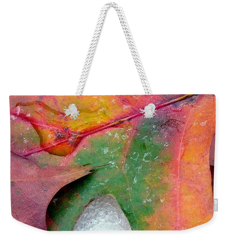 Autumn Weekender Tote Bag featuring the photograph Fall Color and Snow by Amy Dundon
