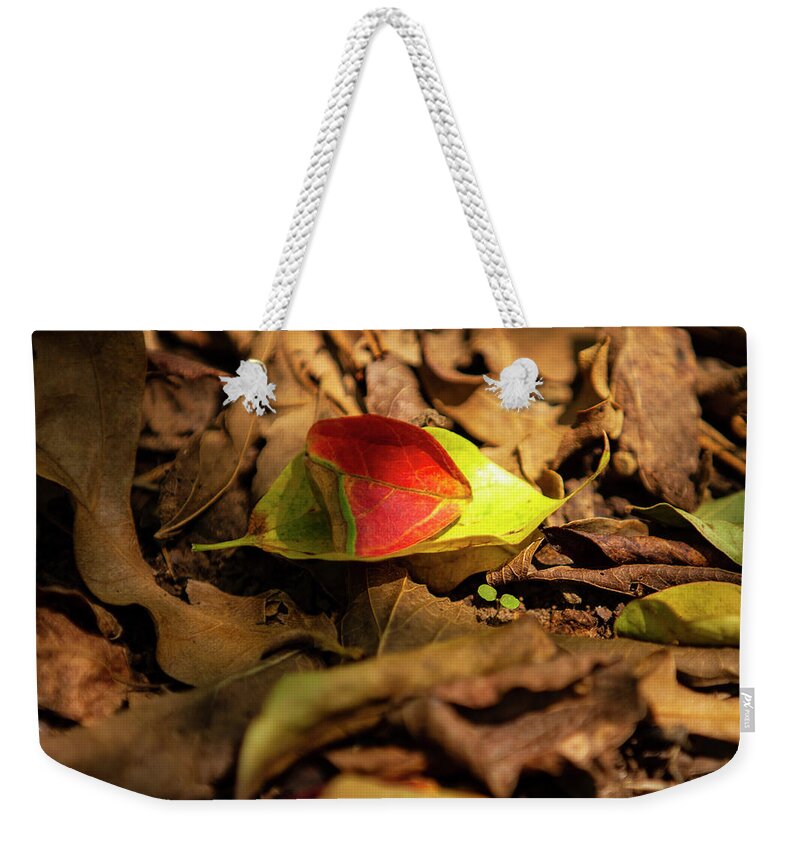Photo Weekender Tote Bag featuring the photograph Fall Colors by Jason Hughes