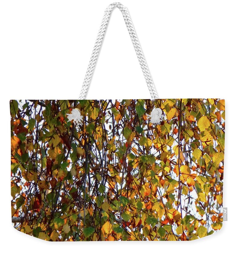 Fineart Weekender Tote Bag featuring the photograph Fall Colors Leonard's Birch Tree by Amelia Racca