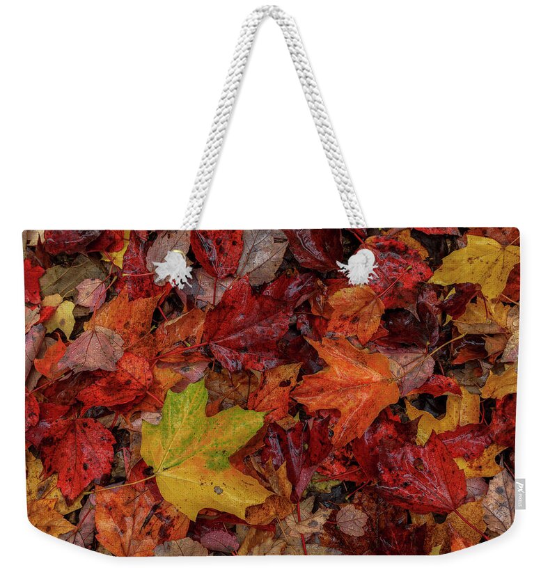 Autumn Weekender Tote Bag featuring the photograph Fall Colors by Rob Davies