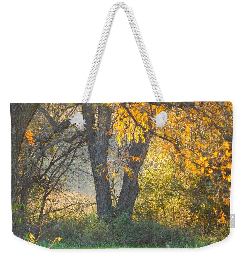 Fall Weekender Tote Bag featuring the photograph Fall Comes To The Pecan Bottom by Virginia White