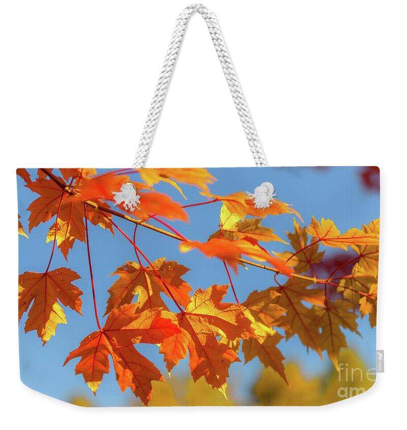 Love Weekender Tote Bag featuring the photograph Fall Foliage by Dheeraj Mutha
