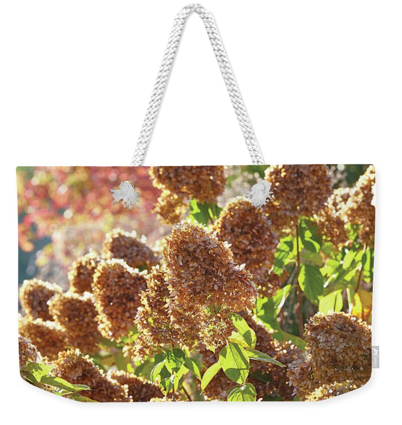Flowers Weekender Tote Bag featuring the photograph Fall Hydrangeas by Garden Gate magazine