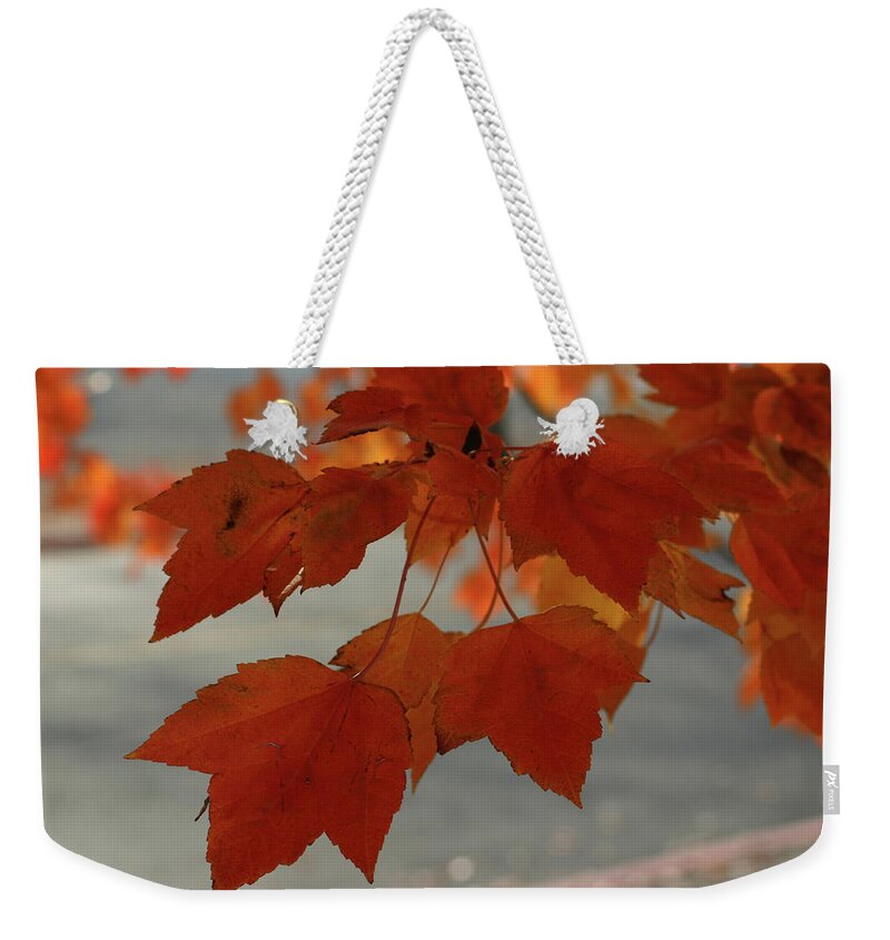 Fall Weekender Tote Bag featuring the photograph Fall in the Pacific Northwest by Leslie Struxness