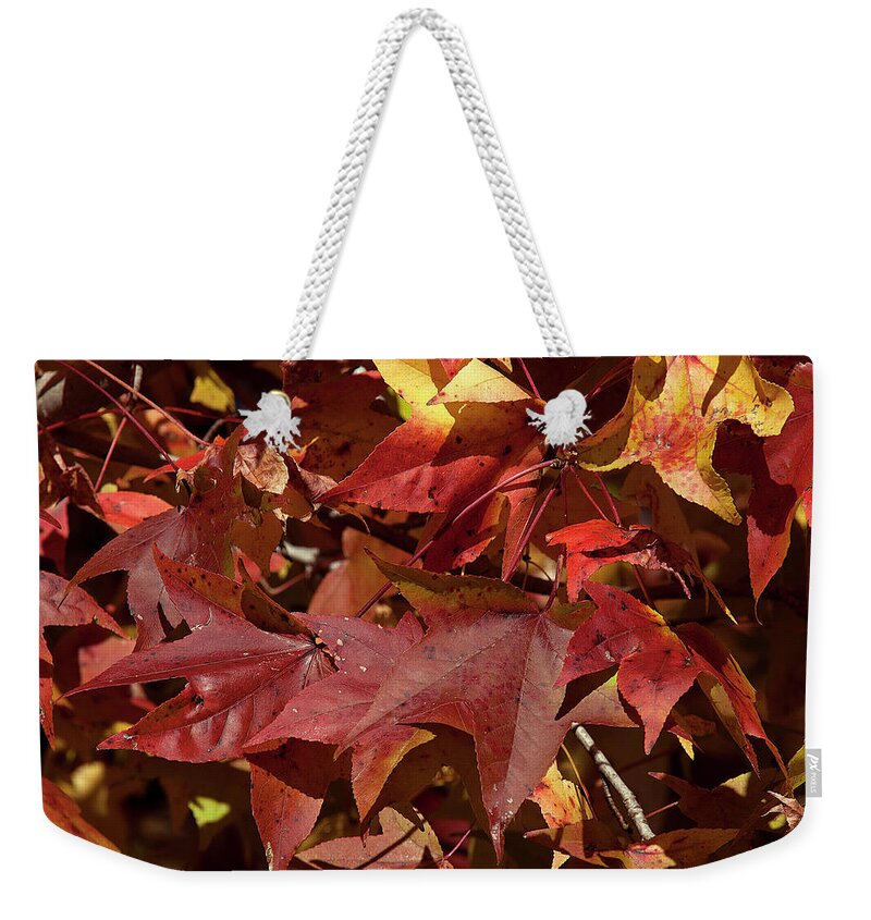 Sweetgum Family Weekender Tote Bag featuring the photograph Fall Sweetgum Leaves DF004 by Gerry Gantt