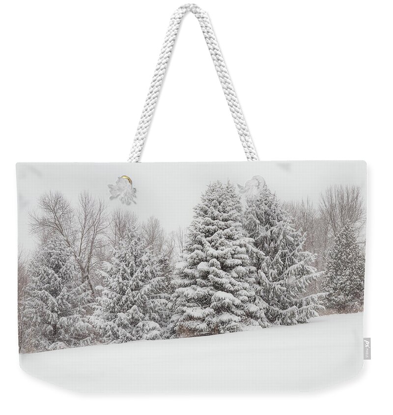 Pine Weekender Tote Bag featuring the photograph Fallbrook Pines by Rod Best