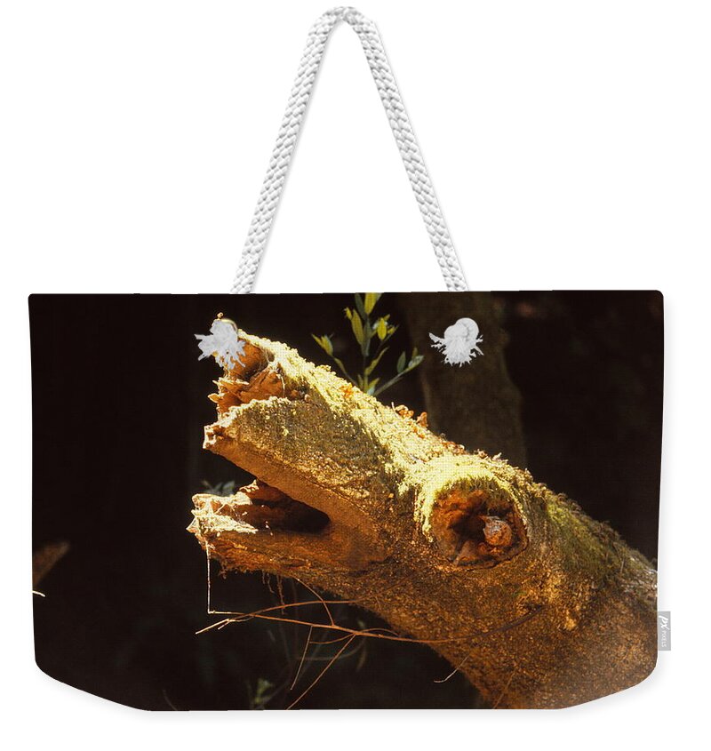 Horse Weekender Tote Bag featuring the photograph Fallen Horse by Marty Klar