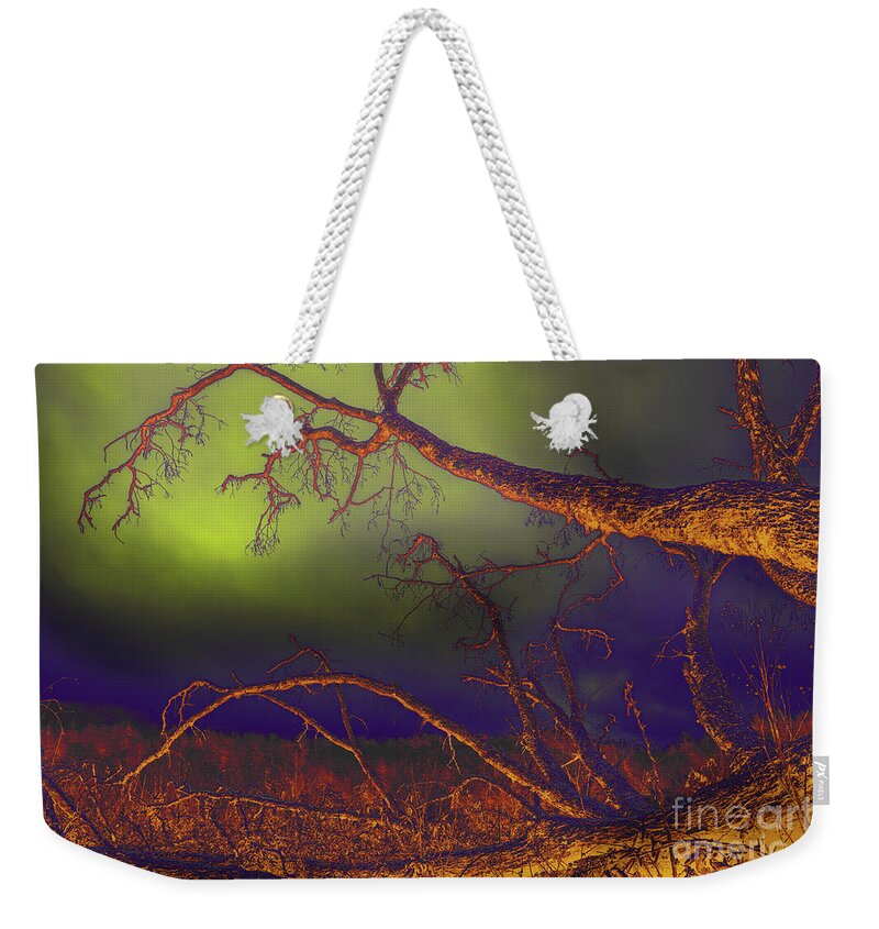 Tree Weekender Tote Bag featuring the photograph Fallen Tree by Mike Eingle