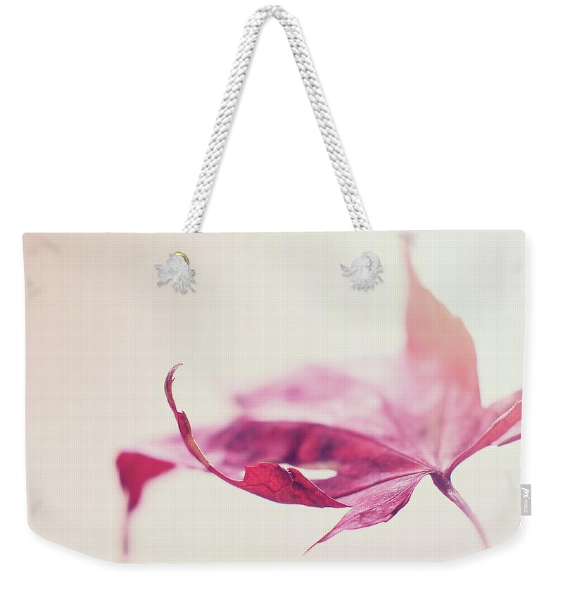 Red Leaf Weekender Tote Bag featuring the photograph Fancy Flight by Michelle Wermuth