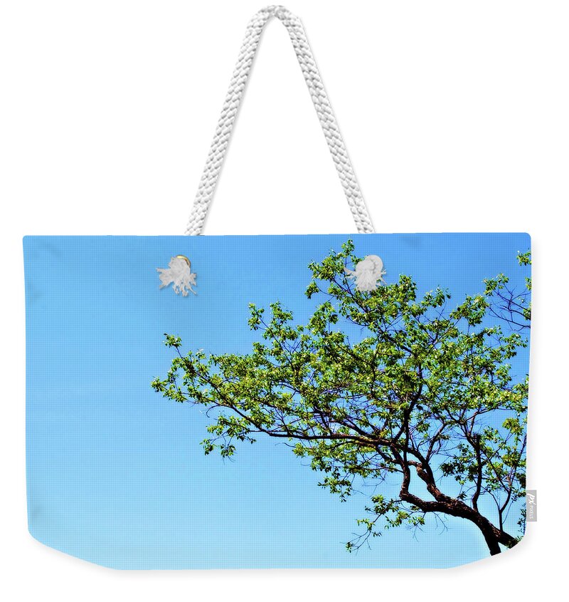Tree Weekender Tote Bag featuring the photograph Far Reaching by Michelle Wermuth