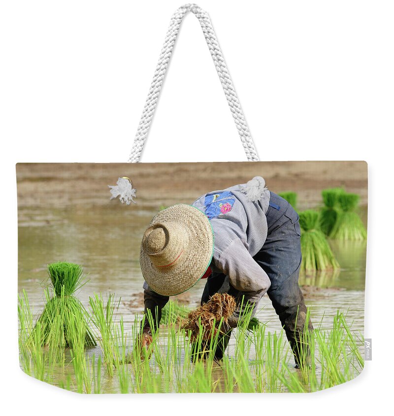 Working Weekender Tote Bag featuring the photograph Farming by Pailoolom