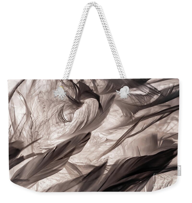 Feather Weekender Tote Bag featuring the photograph Feathers by Lyl Dil Creations