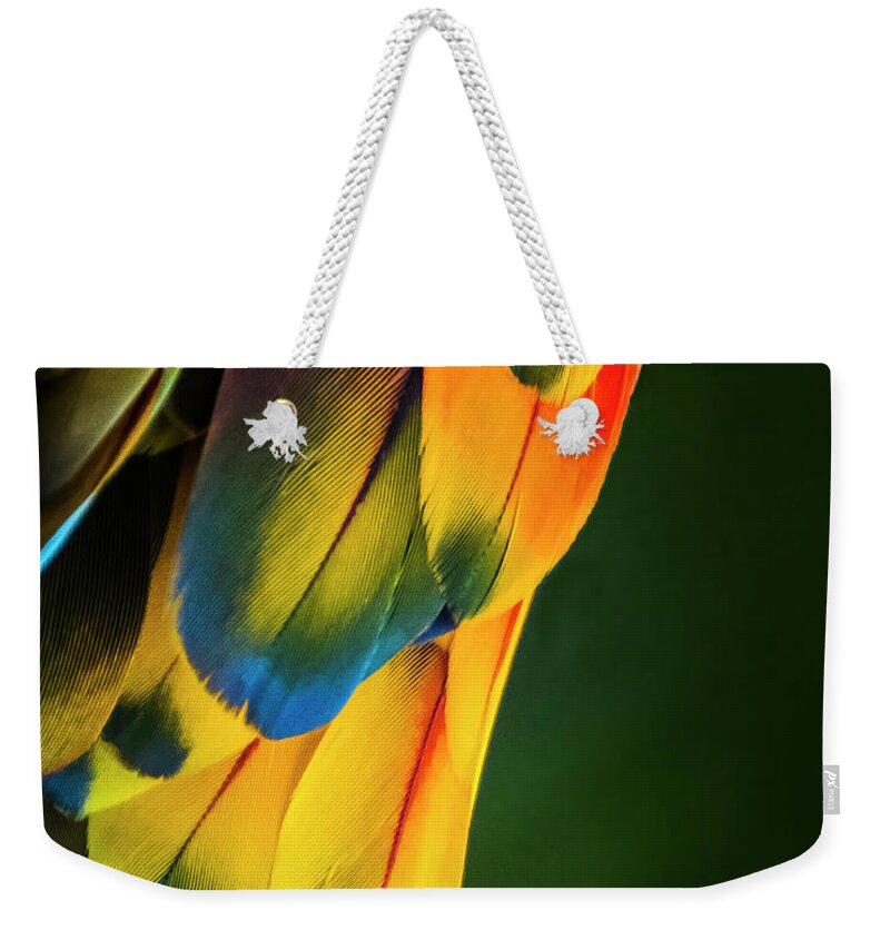 Feathers Weekender Tote Bag featuring the photograph Feather Rainbow by Ginger Stein