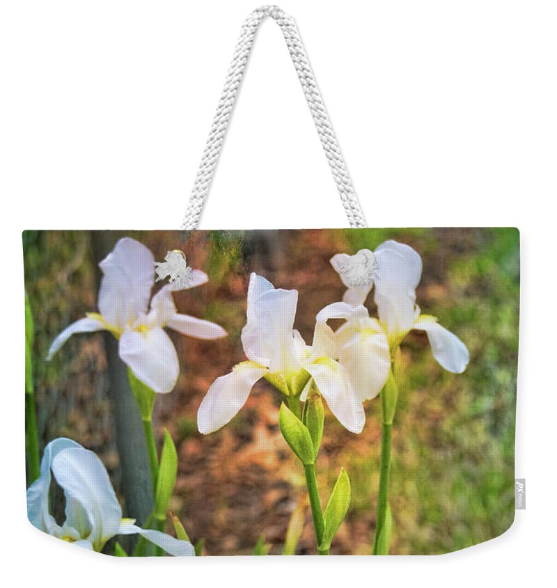 Flowers Weekender Tote Bag featuring the photograph February Blossoms by Joan Bertucci