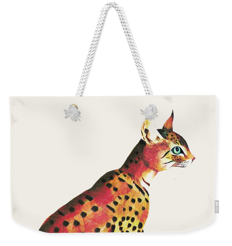 Cat Weekender Tote Bag featuring the photograph Felis Ornata by Jack Torcello