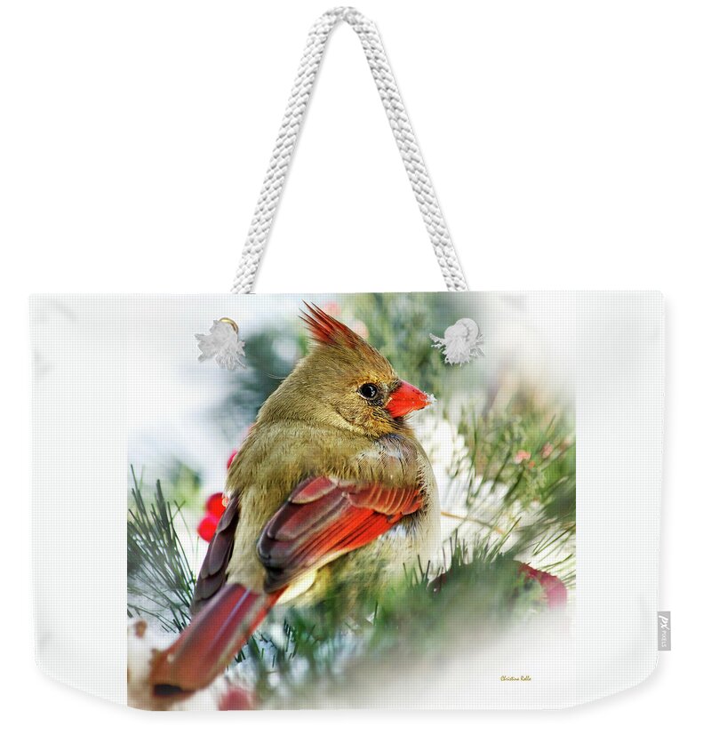 Bird Weekender Tote Bag featuring the photograph Female Northern Cardinal Square by Christina Rollo