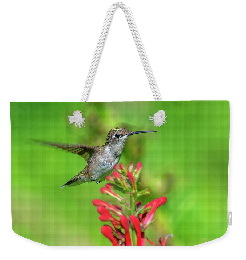 Nature Weekender Tote Bag featuring the photograph Female Ruby-throated Hummingbird DSB0316 by Gerry Gantt