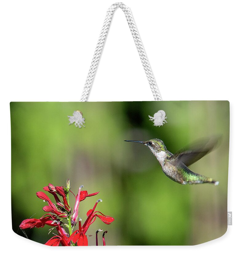 Nature Weekender Tote Bag featuring the photograph Female Ruby-throated Hummingbird DSB0320 by Gerry Gantt