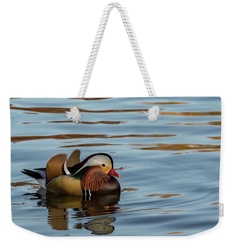 St. Ferdinand Park Weekender Tote Bag featuring the photograph Ferdinand, the Mandarin Duck by Holly Ross