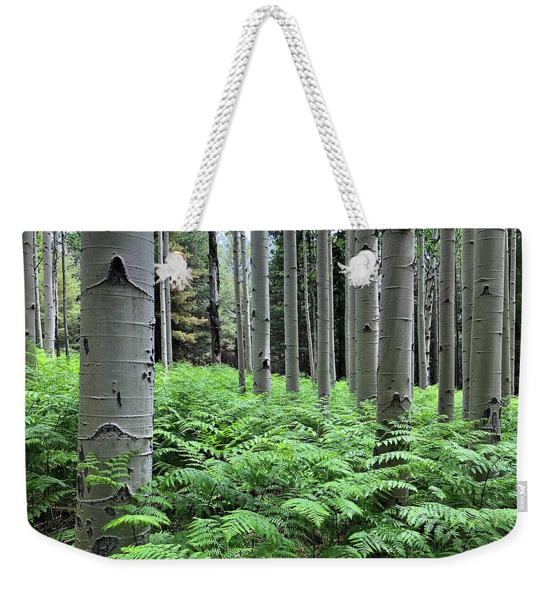 Arizona Weekender Tote Bag featuring the photograph Ferns in an Aspen Grove by Jeff Goulden