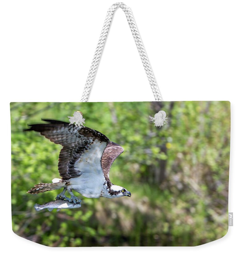 Calf Weekender Tote Bag featuring the photograph Fetcher Catch by Kevin Dietrich
