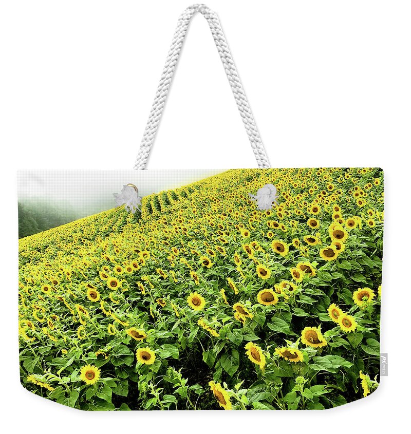 Sunflowers Weekender Tote Bag featuring the photograph Fields of Yellow by Shane Kelly