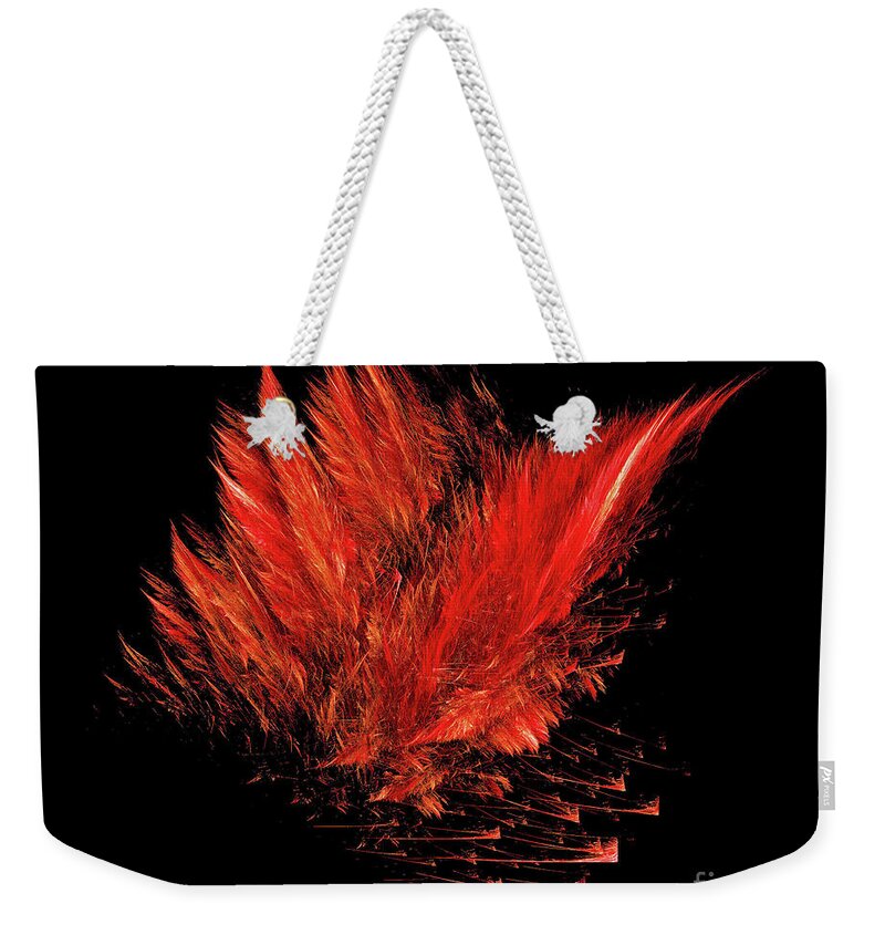 Fractals Weekender Tote Bag featuring the photograph Fire Feathers by Elaine Manley