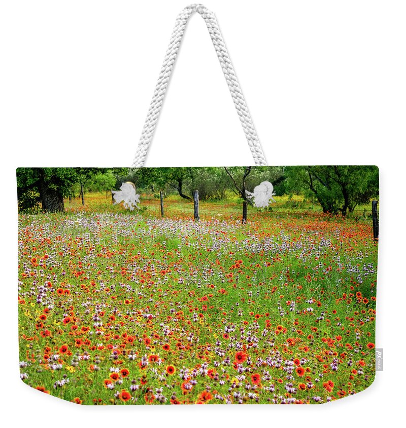 Texas Wildflowers Weekender Tote Bag featuring the photograph Fire Wheel Bliss by Johnny Boyd