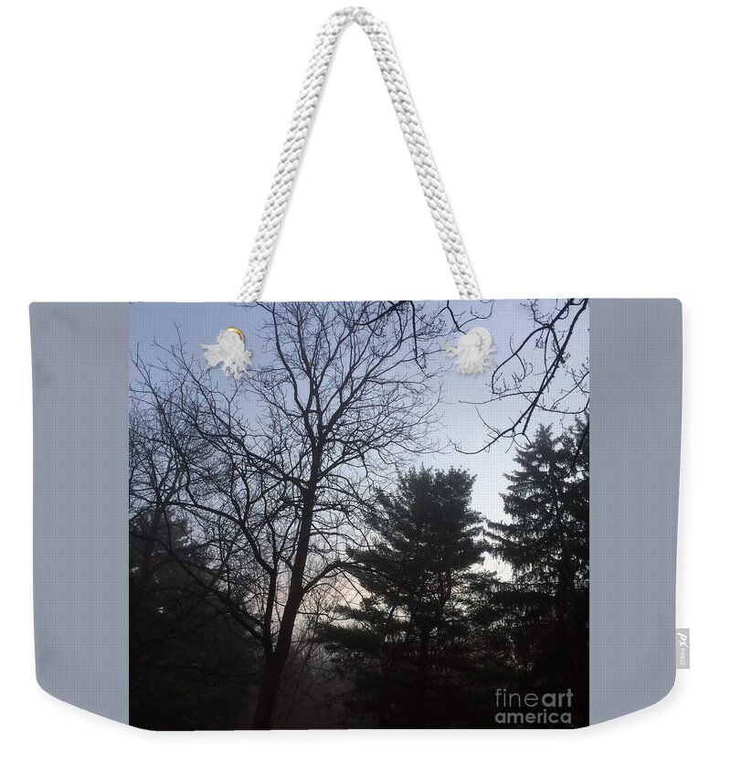 Nature Weekender Tote Bag featuring the photograph First Light and Fog by Frank J Casella