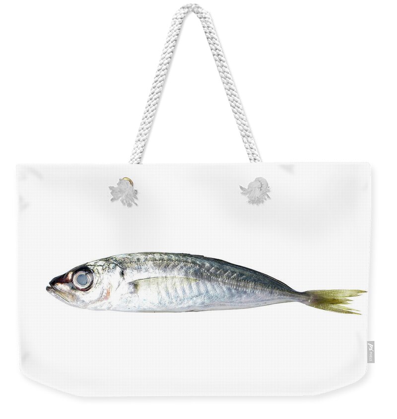 White Background Weekender Tote Bag featuring the photograph Fish by Balikcioglu