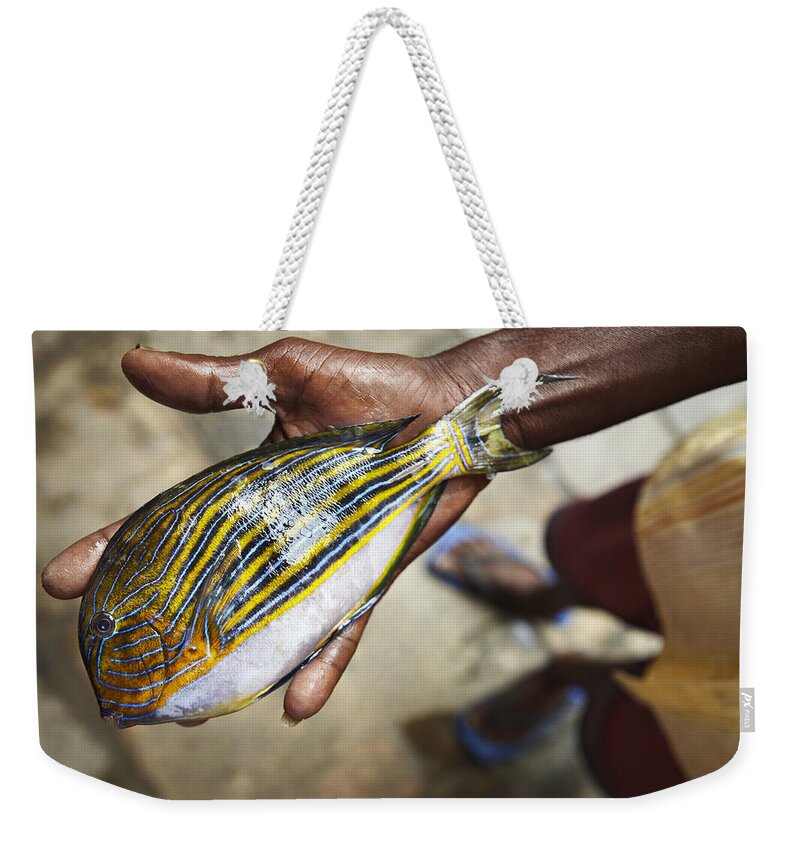 Fish Catch Weekender Tote Bag by Richard Taylor - Fine Art America